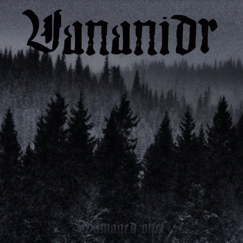 Vananidr : Damaged Ones